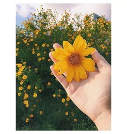 Blue Tones Turtle Mat