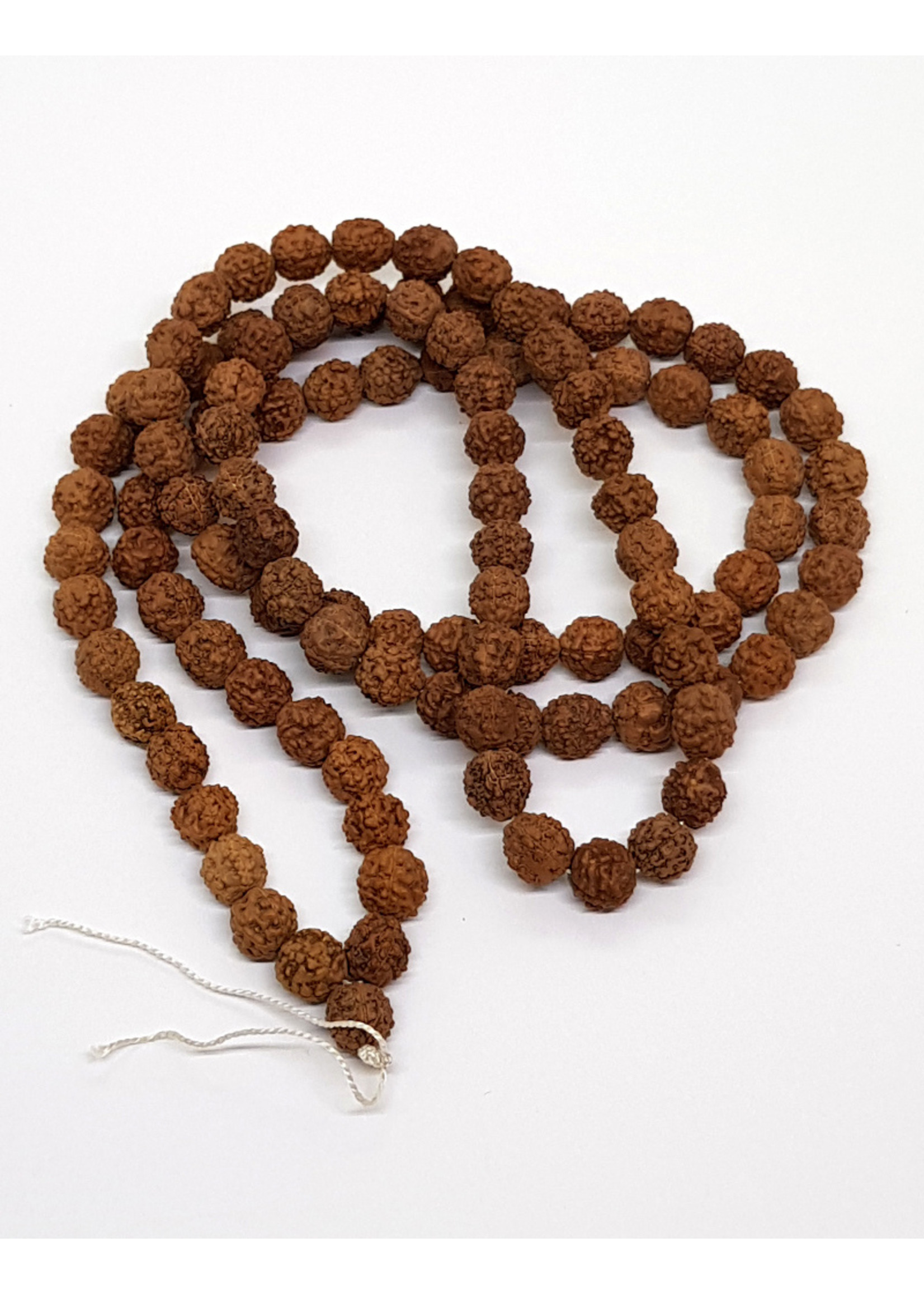 Perline di preghiera Rudraksha