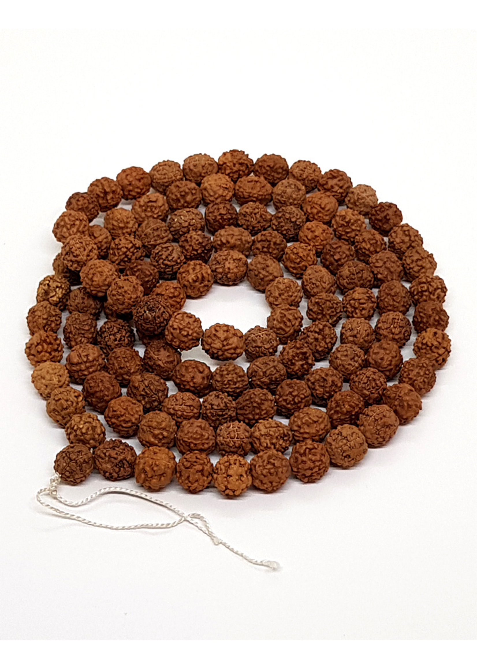 Prayer Beads Rudraksha