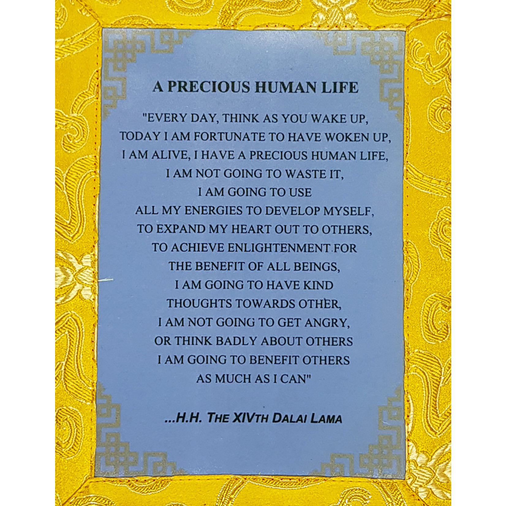 Tibetisches Thangka Dalai Lama Zitat "PRECIOUS HUMAN LIFE"