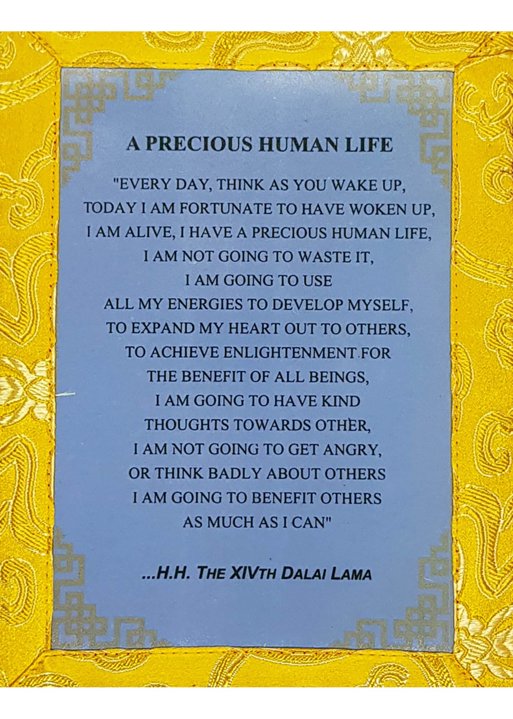 Thangka tibetana Dalai Lama Citazione "PRECIOUS HUMAN LIFE"