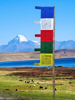 Drapeau de prière vertical tibétain de qualité supérieure