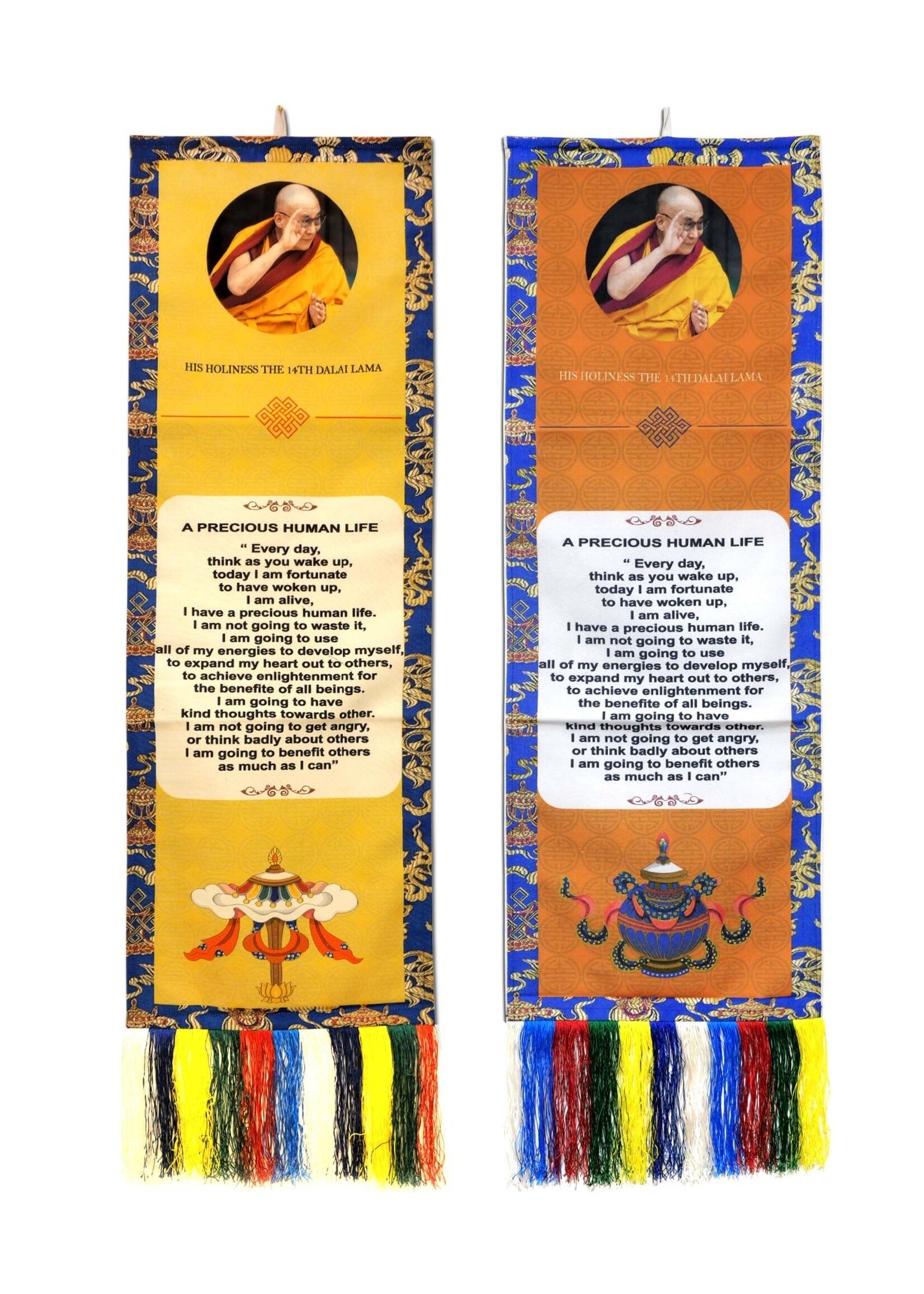 Wall Hanging Dalai Lama Quote "A Precious Human Life"