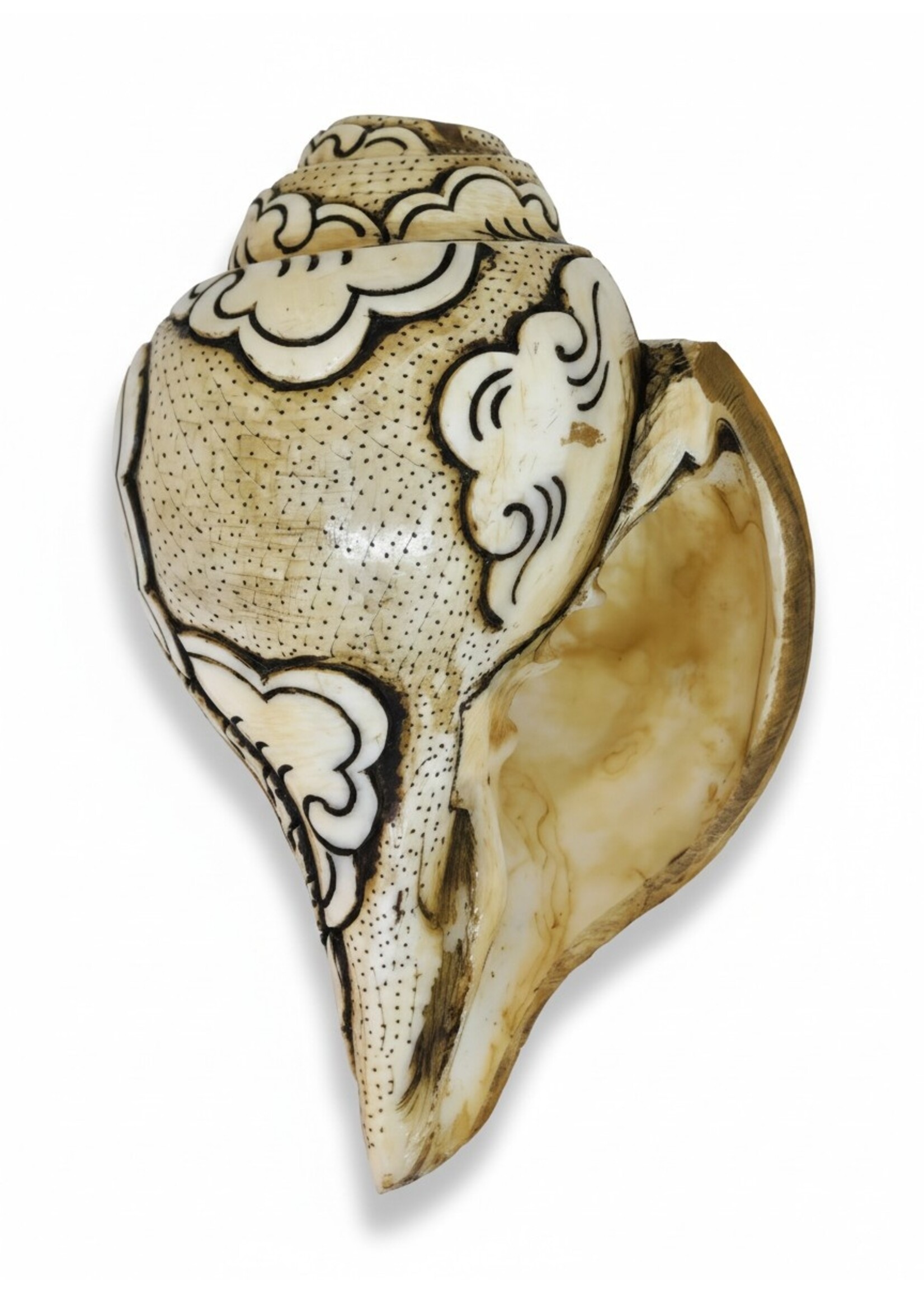 Trompette tibétaine en conque Double Dorje sculptée Dung-Kar