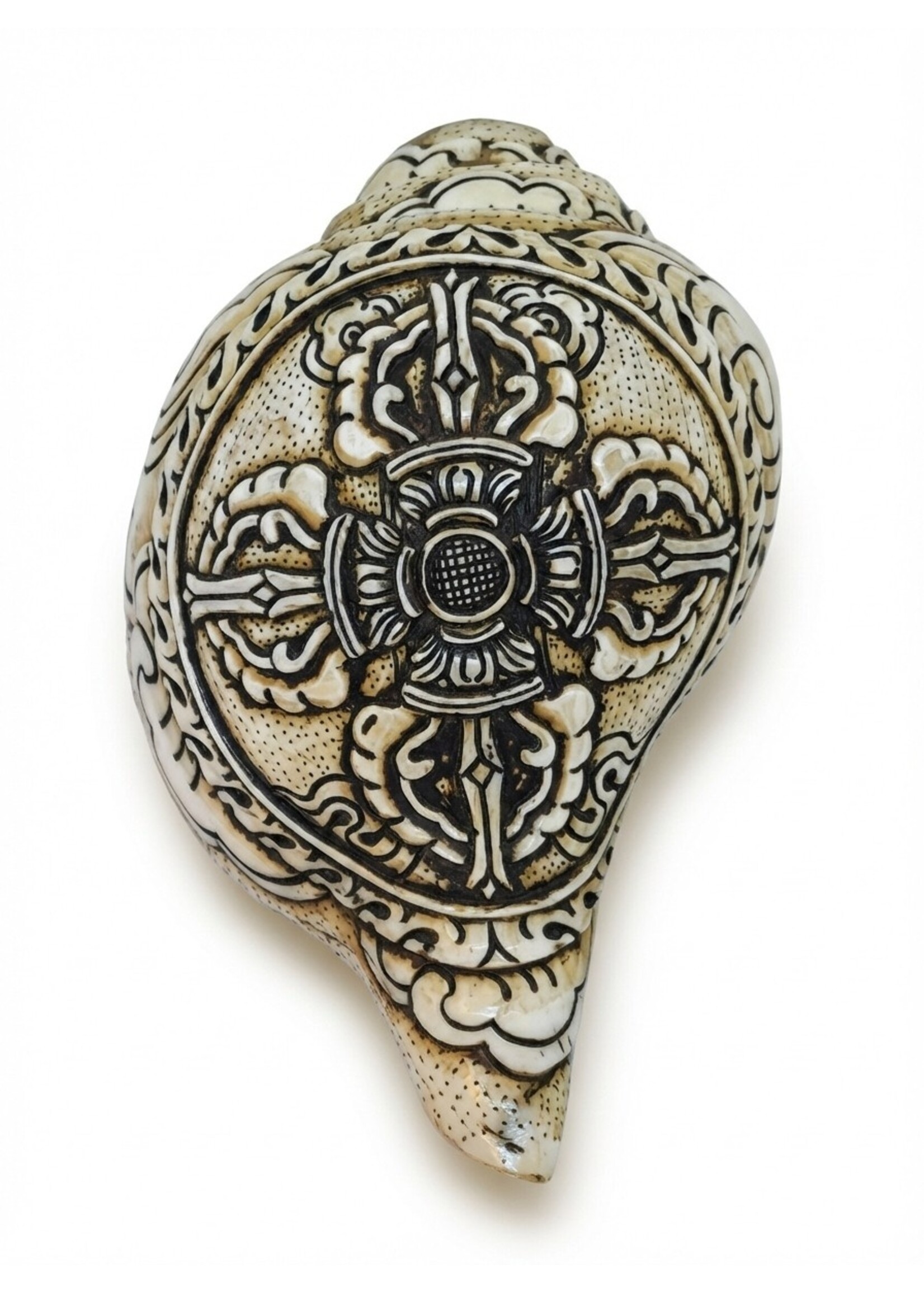 Trompette tibétaine en conque Double Dorje sculptée Dung-Kar
