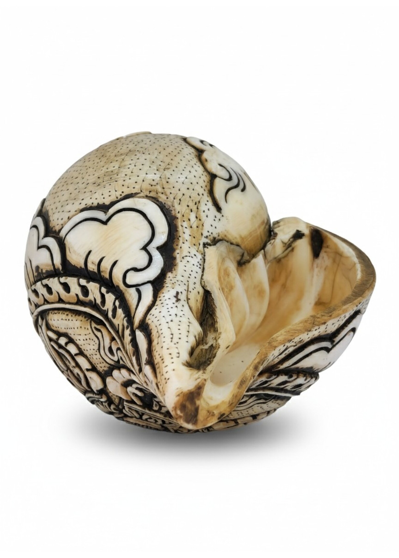 Tibetan Carved Double Dorje Conch Trumpet Dung-Kar