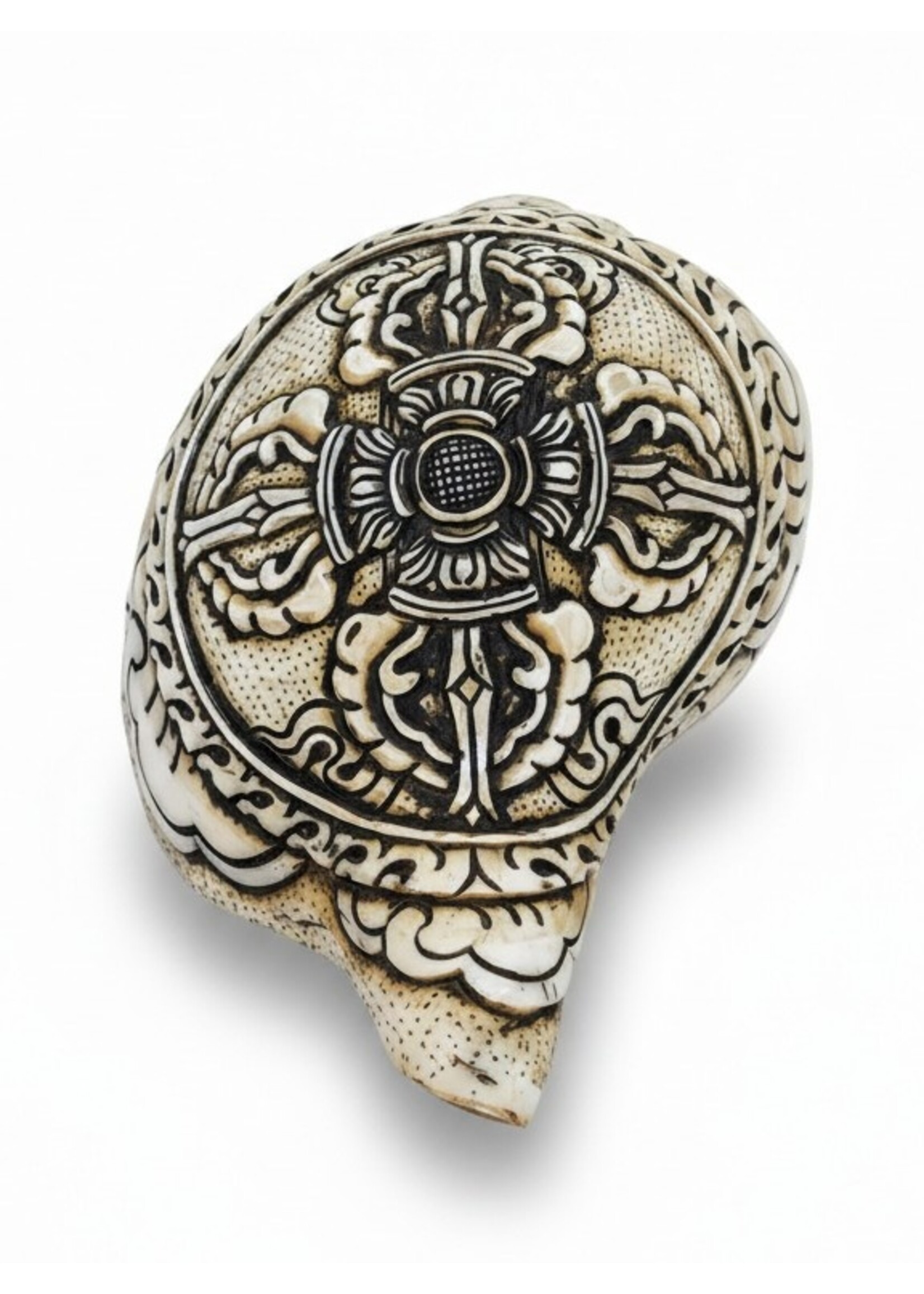 Trompette tibétaine en conque Double Dorje sculptée Dung-Kar