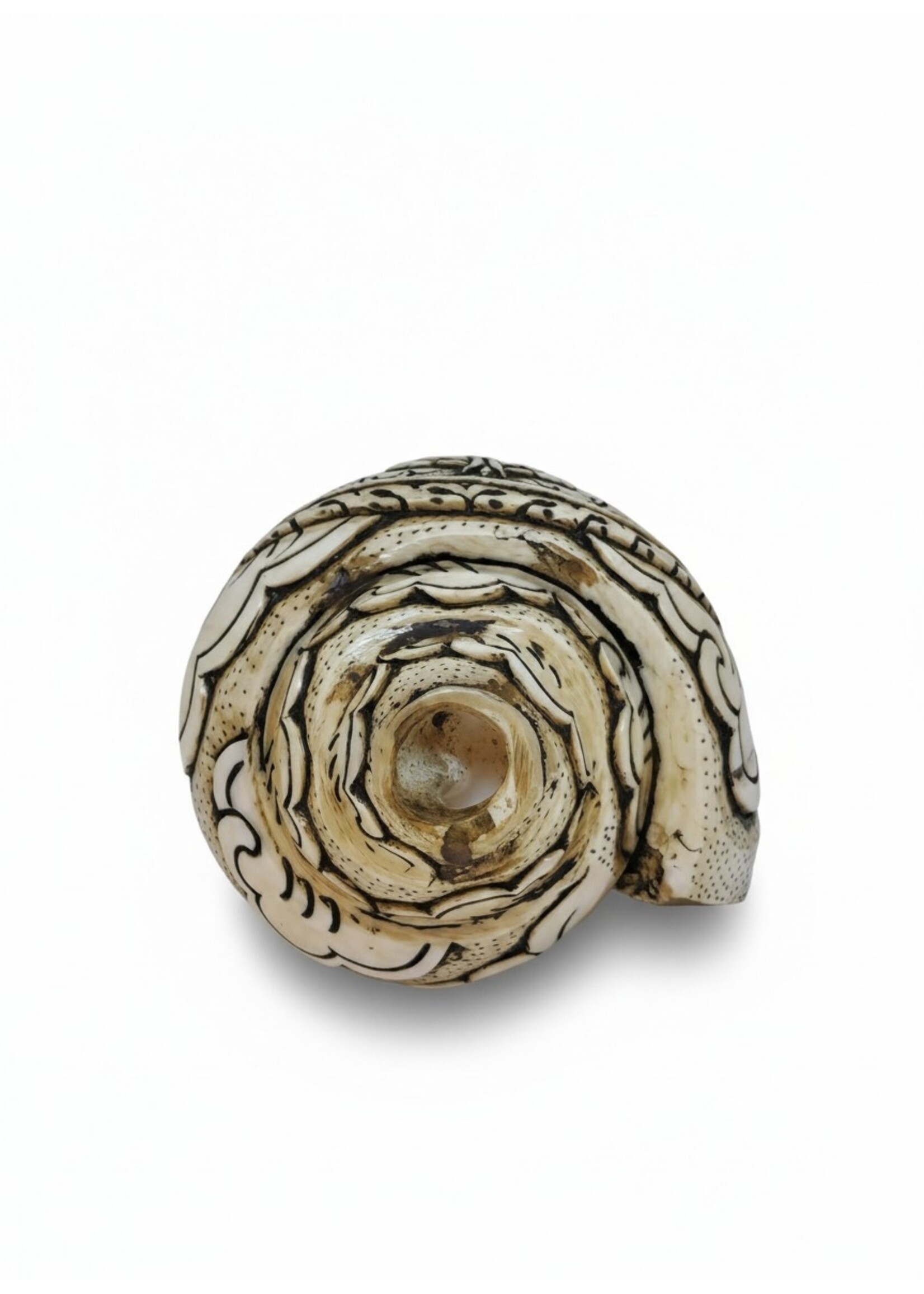 Trompette tibétaine en conque Double Dorje sculptée Dung-Kar