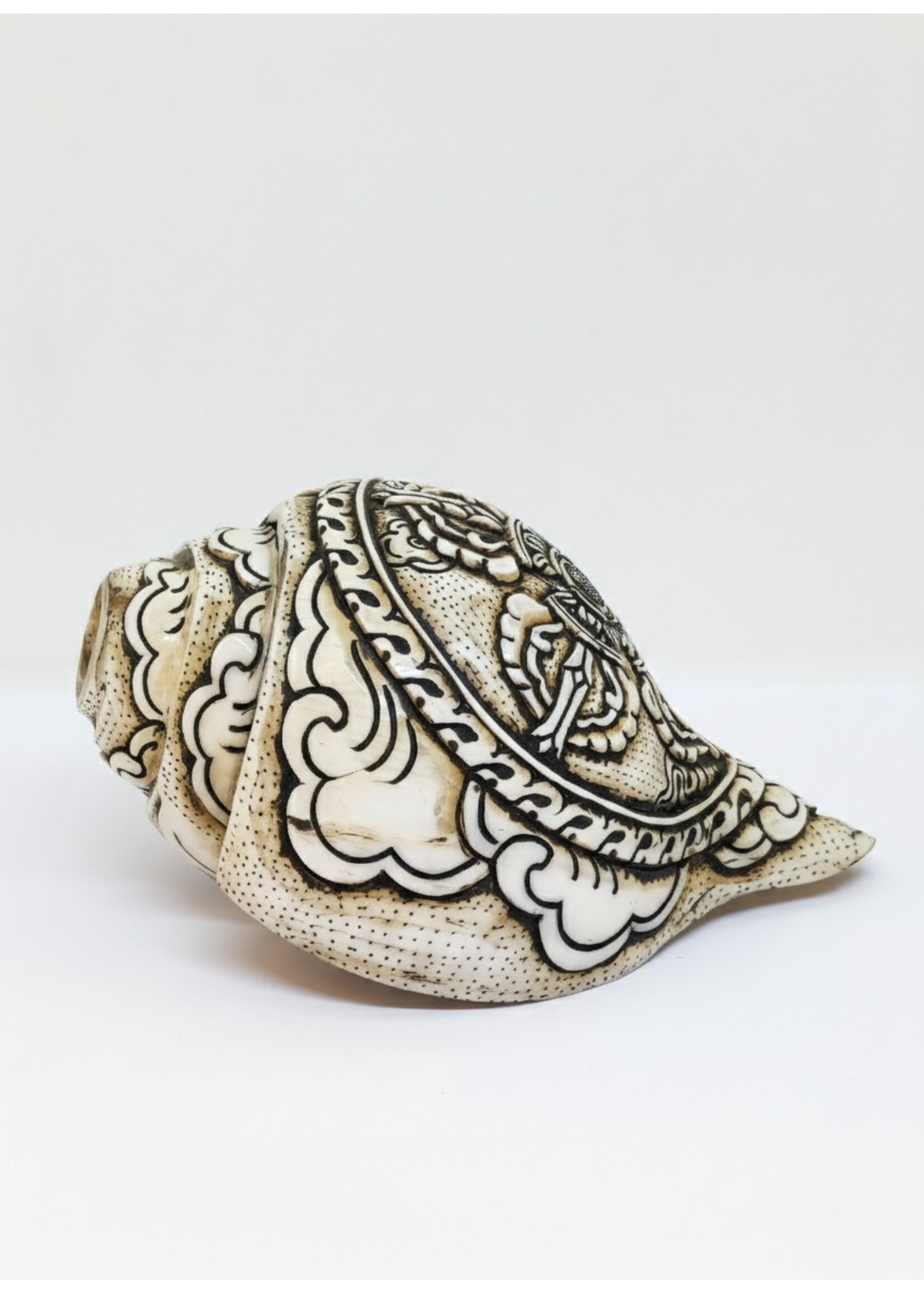 Trompette tibétaine en conque Double Dorje sculptée Dung-Kar