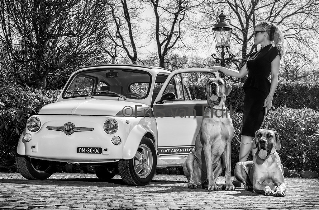 Inside the Archives VARIOUS  - 2020  - Fiat 500 Abarth- Great Danes and their mum