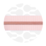 Peachy Stripes | Nylon coil zipper | #5