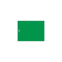 GolfFlags PG  flag, plain, green