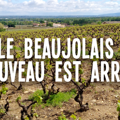 Beaujolais voor dummies