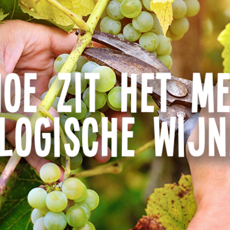 Hoe zit het met biologische wijnen?