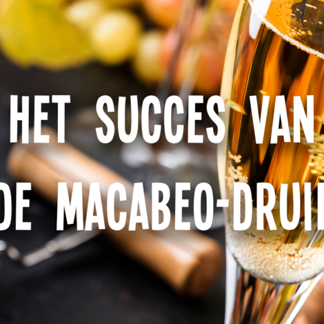 Het succes van Macabeo en Cava