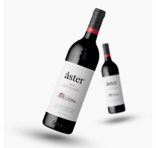 Aster Crianza