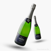 Charles Pougeoise Blanc de Blancs Premier Cru