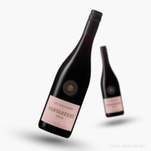 Fontareche Syrah IGP