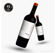 Punto Final Malbec Reserva