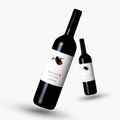 Enate Syrah Somontano