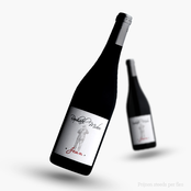 Raphael Midoir Touraine Gamay, cuvee Jean