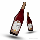 Baud Côtes du Jura Trousseau Cousu Main