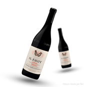 Aldo Conterno Langhe Nebbiolo Il Favot 2020