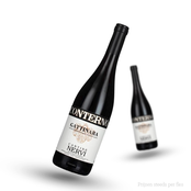 Nervi-Conterno Gattinara 2019