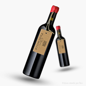 Chateau Panchille “A l’état Brut” Bordeaux