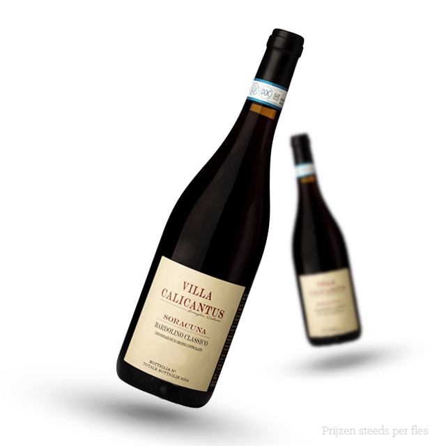 Villa Calicantus Soracuna Bardolino