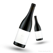 Claus Preisinger Zweigelt Kieselstein Claus Preisinger Zweigelt Kieselstein