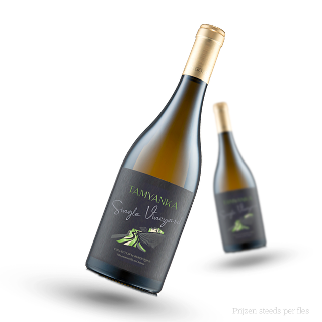 Chateau Burgozone Tamyanka Collection