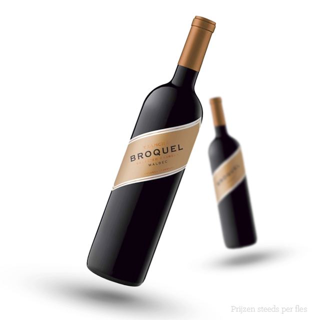 Trapiche Broquel Malbec