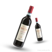 Osvaldo Viberti Barbera D'Alba Superiore Mancine