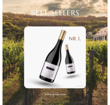 Top 10 Wijnen Pin'Art