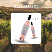 Top 10 Wijnen Pin'Art Top 10 Wijnen Pin'Art