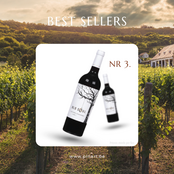 Top 10 Wijnen Pin'Art