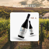 Top 10 Wijnen Pin'Art