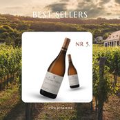 Top 10 Wijnen Pin'Art