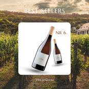 Top 10 Wijnen Pin'Art