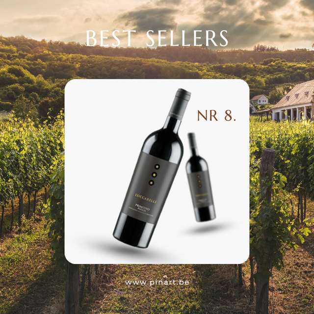 Top 10 Wijnen Pin'Art