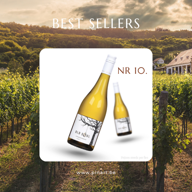 Top 10 Wijnen Pin'Art