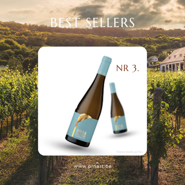 Top 10 Wijnen Pin'Art