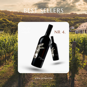 Top 10 Wijnen Pin'Art