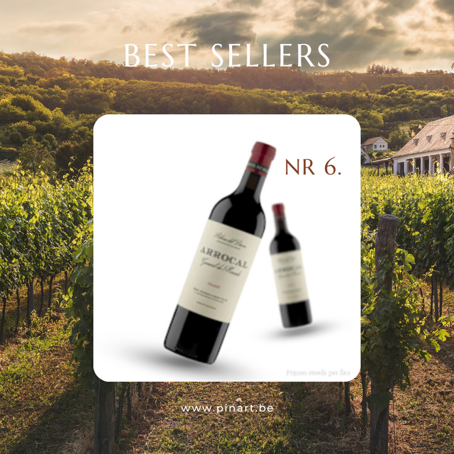 Top 10 Wijnen Pin'Art