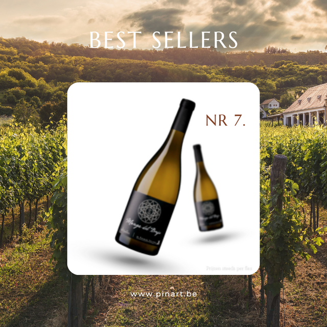 Top 10 Wijnen Pin'Art
