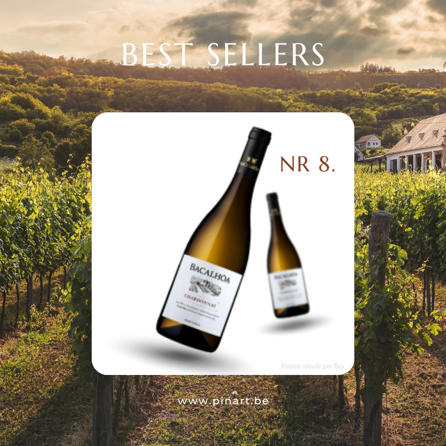 Top 10 Wijnen Pin'Art