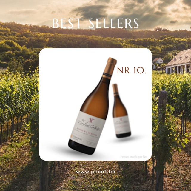 Top 10 Wijnen Pin'Art