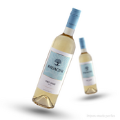 RADACINI Pinot Grigio