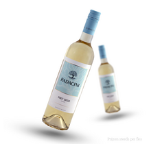 RADACINI Pinot Grigio